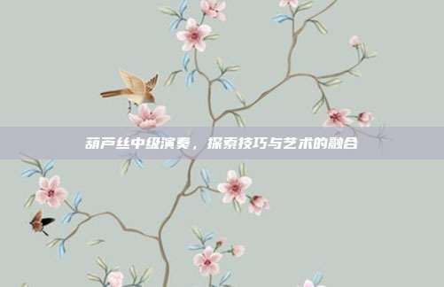 葫芦丝中级演奏,探索技巧与艺术的融合