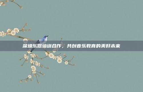 深圳乐器培训合作,共创音乐教育的美好未来