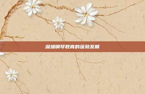 深圳钢琴教育的蓬勃发展