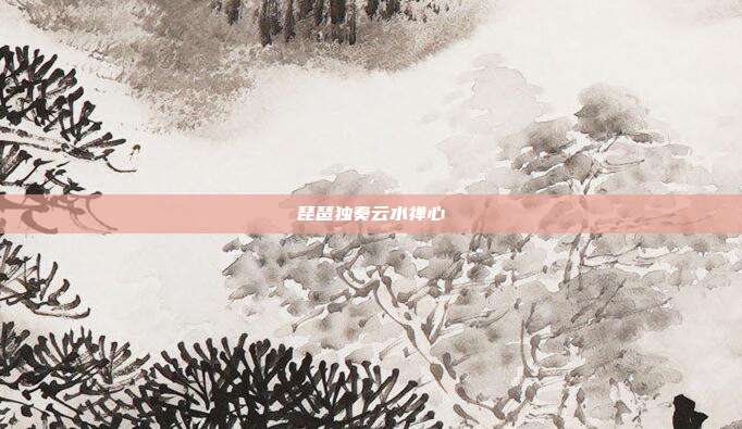 琵琶独奏云水禅心