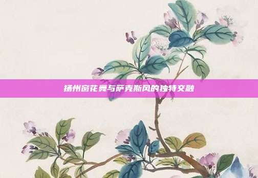 扬州窗花舞与萨克斯风的独特交融
