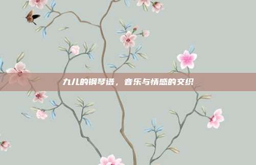 九儿的钢琴谱,音乐与情感的交织
