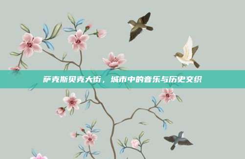 萨克斯贝克大街，城市中的音乐与历史交织