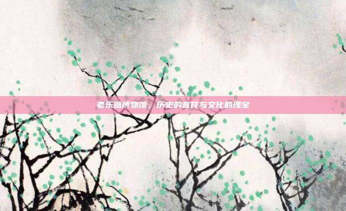 老乐器博物馆,历史的音符与文化的瑰宝