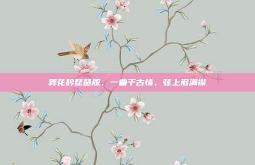 葬花吟琵琶版，一曲千古情，弦上泪满襟