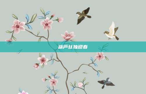 葫芦丝独迎春