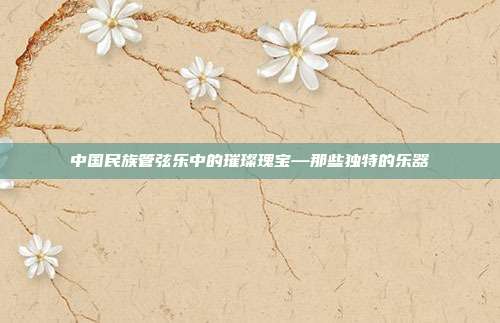 中国民族管弦乐中的璀璨瑰宝—那些独特的乐器