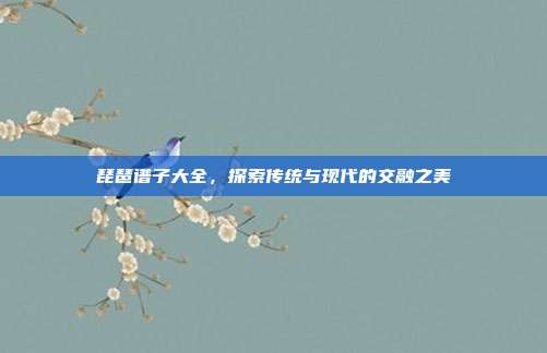 琵琶谱子大全，探索传统与现代的交融之美