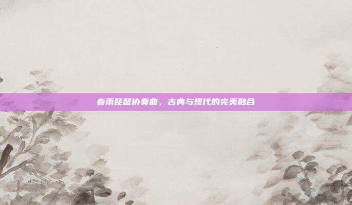 春雨琵琶协奏曲，古典与现代的完美融合