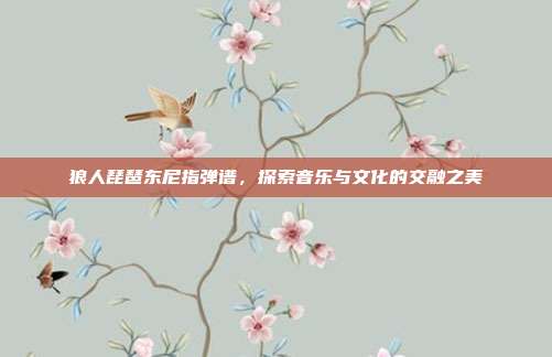 狼人琵琶东尼指弹谱,探索音乐与文化的交融之美