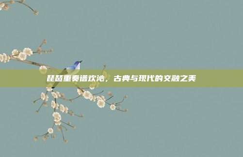 琵琶重奏谱欢沁,古典与现代的交融之美