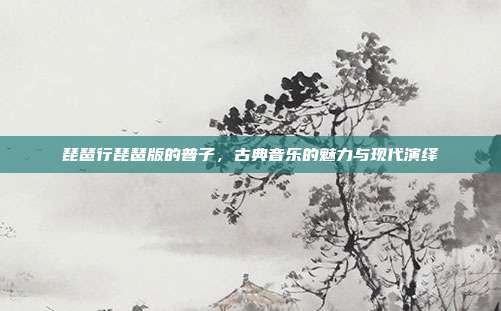 琵琶行琵琶版的普子，古典音乐的魅力与现代演绎