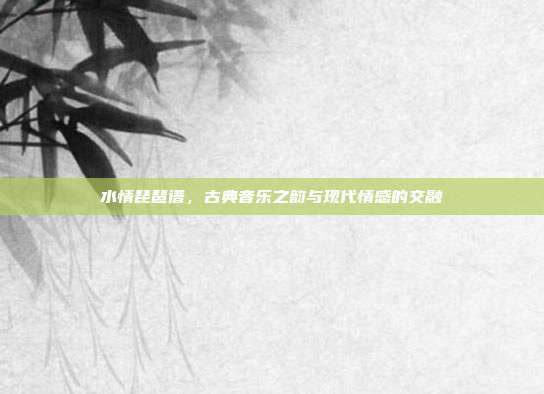 水情琵琶谱，古典音乐之韵与现代情感的交融
