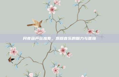 月夜葫芦丝独奏,原版音乐的魅力与意境