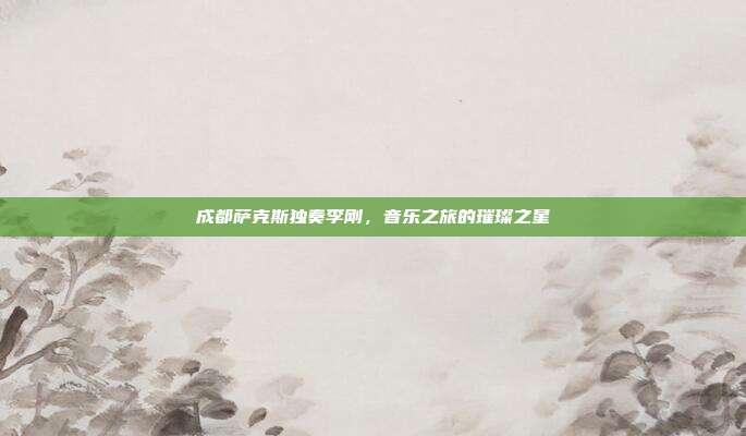 成都萨克斯独奏李刚,音乐之旅的璀璨之星