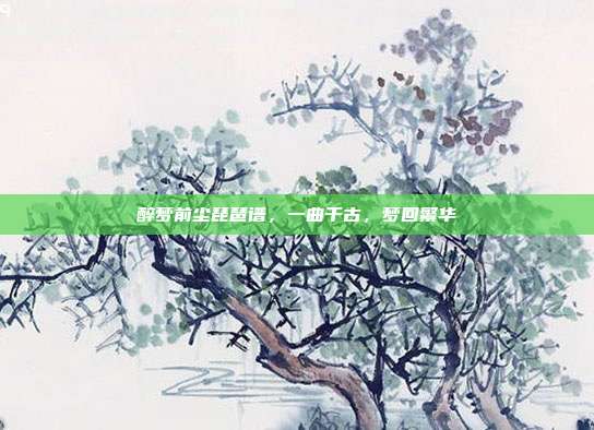 醉梦前尘琵琶谱，一曲千古，梦回繁华