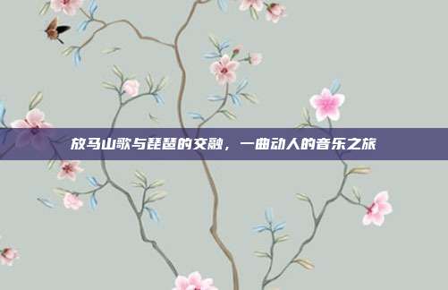 放马山歌与琵琶的交融，一曲动人的音乐之旅