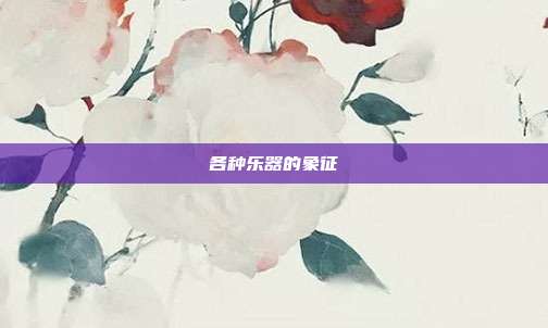 各种乐器的象征