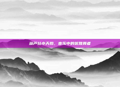 葫芦丝小天鹅，音乐中的优雅舞者