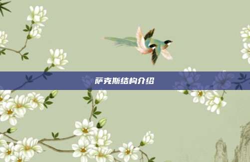 萨克斯结构介绍