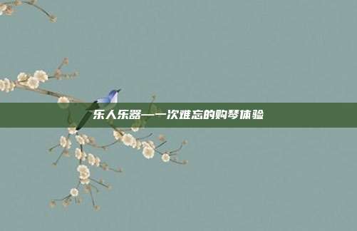 乐人乐器—一次难忘的购琴体验