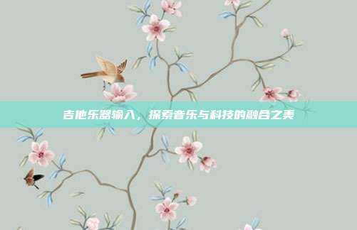 吉他乐器输入,探索音乐与科技的融合之美