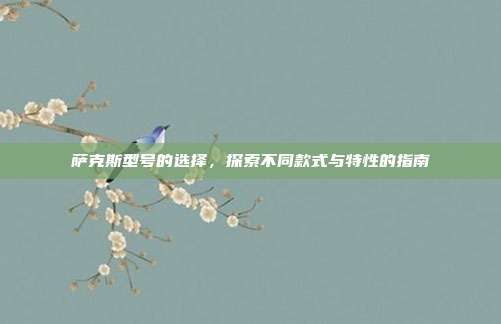 萨克斯型号的选择,探索不同款式与特性的指南