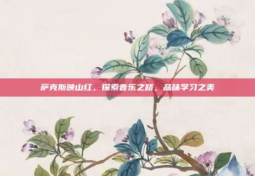 萨克斯映山红，探索音乐之路，品味学习之美