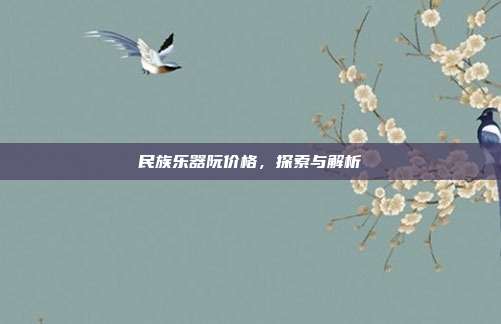 民族乐器阮价格，探索与解析