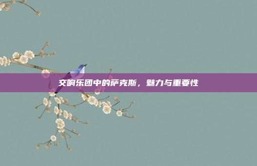 交响乐团中的萨克斯，魅力与重要性