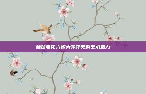 琵琶老花六板大师弹奏的艺术魅力