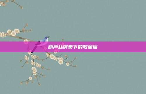 葫芦丝演奏下的牧童谣