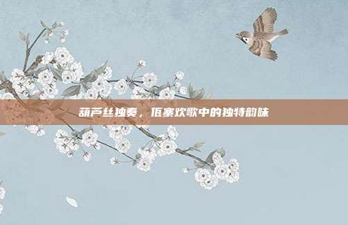 葫芦丝独奏，佤寨欢歌中的独特韵味