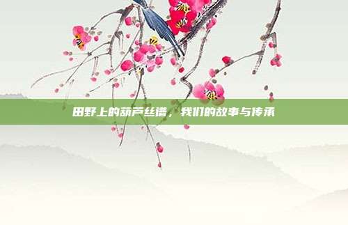 田野上的葫芦丝谱,我们的故事与传承