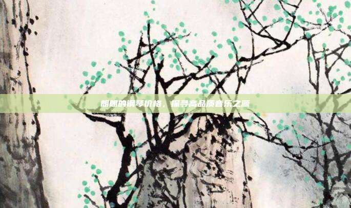 朗朗的钢琴价格，探寻高品质音乐之源