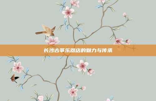 长沙古筝乐器店的魅力与传承