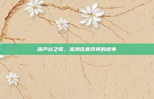 葫芦丝之歌，流淌在音符间的故事