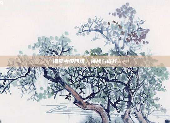 钢琴考级四级，挑战与成长