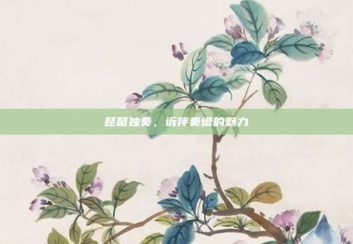 琵琶独奏，诉伴奏谱的魅力