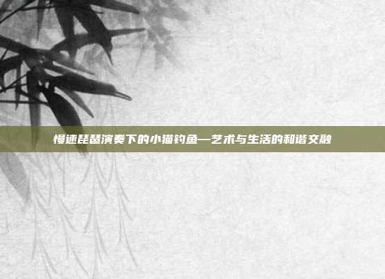 慢速琵琶演奏下的小猫钓鱼—艺术与生活的和谐交融