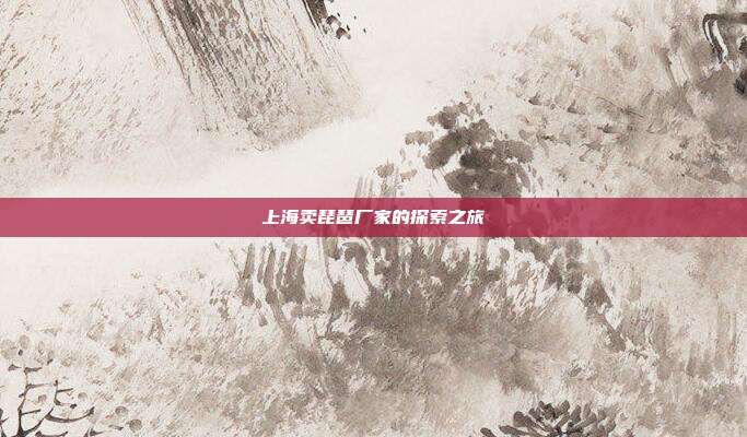 上海卖琵琶厂家的探索之旅