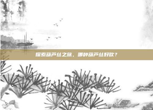 探索葫芦丝之旅,哪种葫芦丝好吹?
