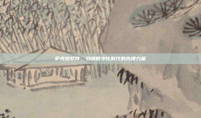 萨克斯软件，引领数字化时代的先锋力量