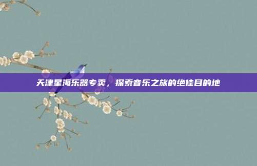 天津星海乐器专卖，探索音乐之旅的绝佳目的地