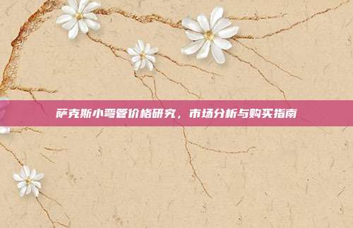 萨克斯小弯管价格研究，市场分析与购买指南