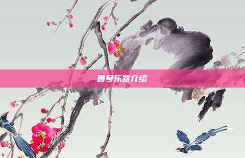 圆号乐器介绍