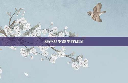 葫芦丝李春华收徒记
