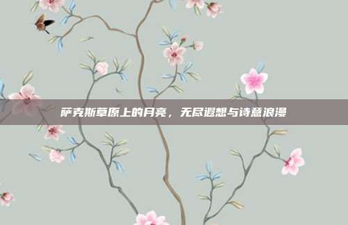 萨克斯草原上的月亮，无尽遐想与诗意浪漫
