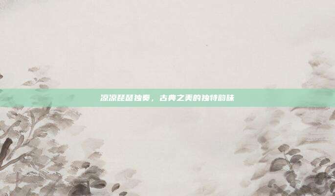 凉凉琵琶独奏，古典之美的独特韵味