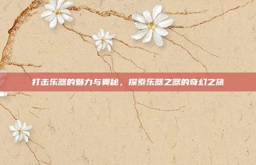 打击乐器的魅力与奥秘，探索乐器之器的奇幻之旅
